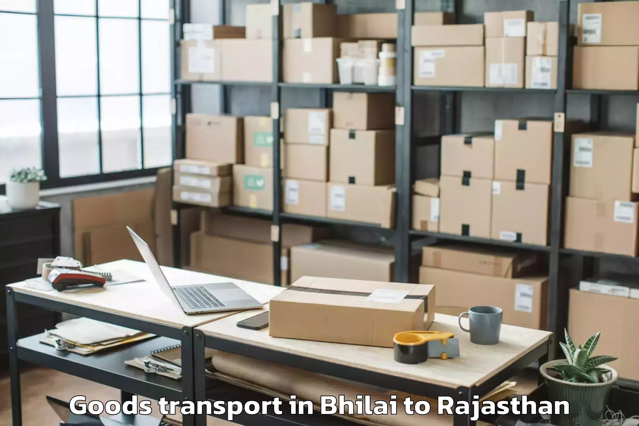 Affordable Bhilai to Chittorgarh Goods Transport